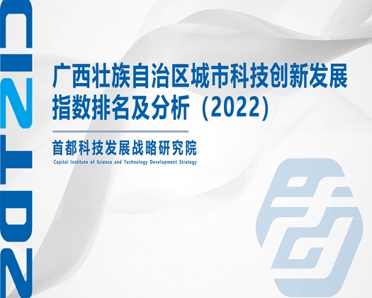 大屌操逼太爽视频【成果发布】广西壮族自治区城市科技创新发展指数排名及分析（2022）